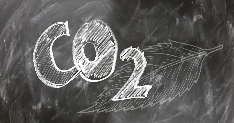 Carbon Offsetting