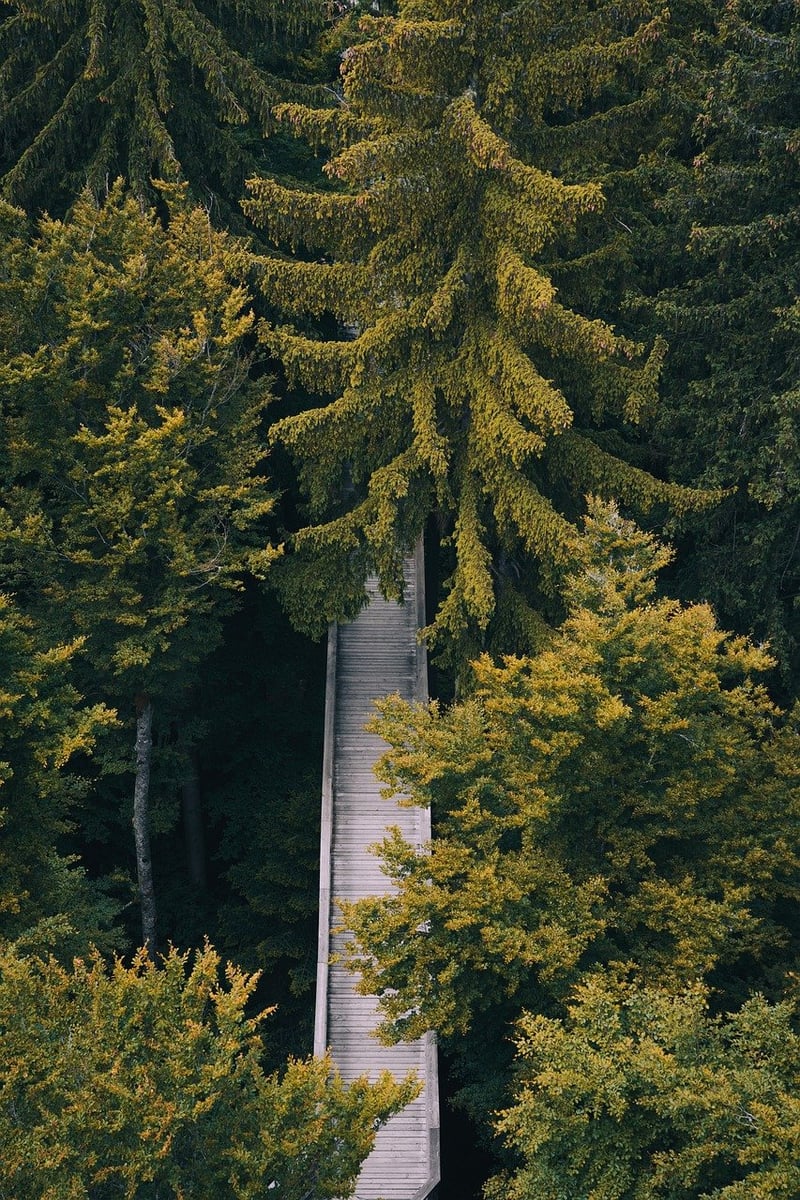 Coastal Path