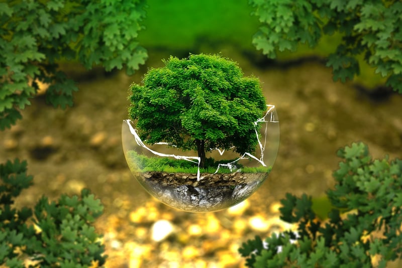 Biodiversity